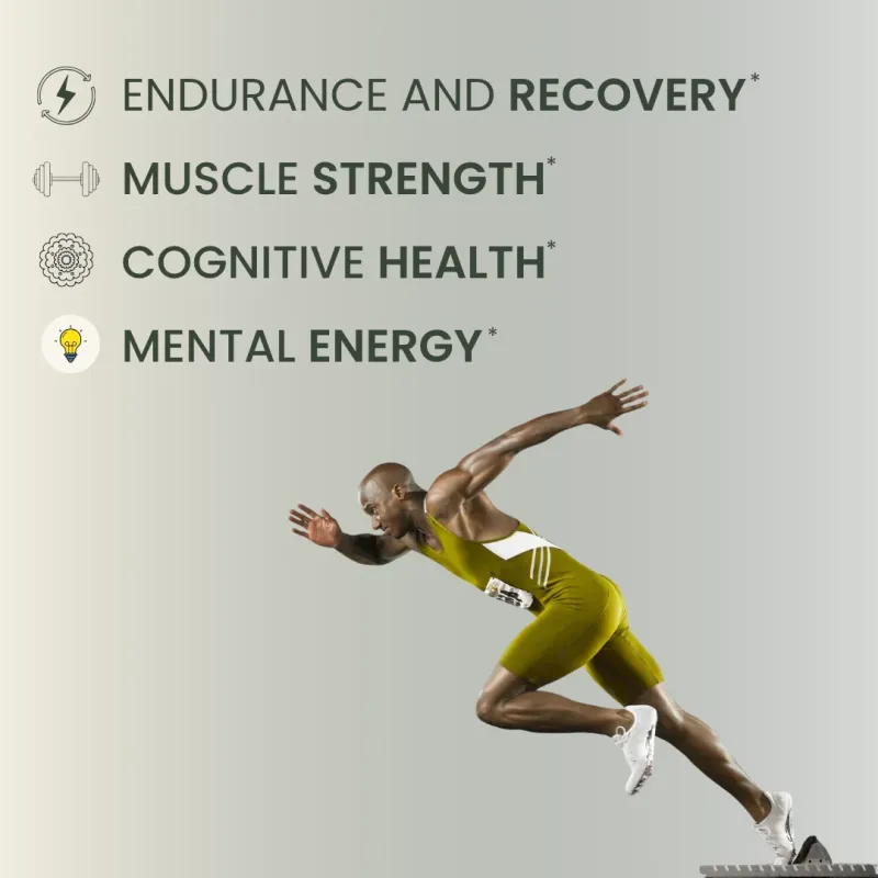 Creatine+ benefits