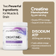 Creatine + ATP 8 Creatine ATP Image 3 2d4a808e