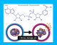 Science 15 NAD senescence cceef0d5